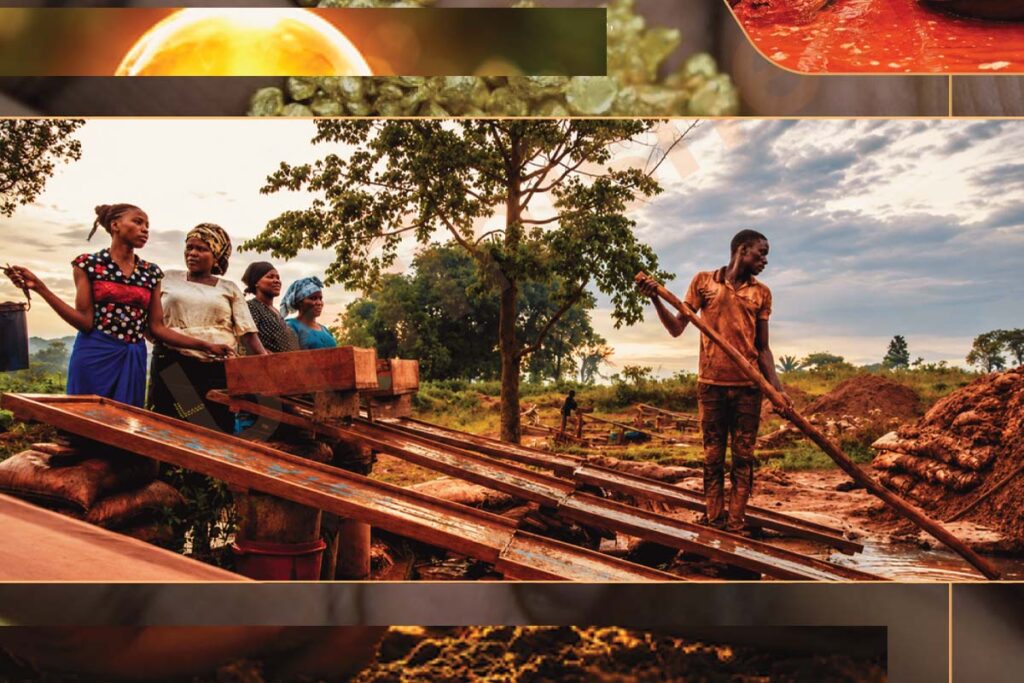 About the BLACK ROCK MANAGEMENT LTD